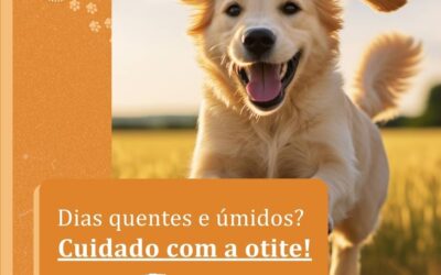 Dias quentes e úmidos? Cuidado com a Otite!