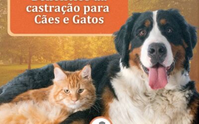 Benefícios da castração para Cães e Gatos