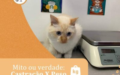Mito ou verdade: Castração X Peso