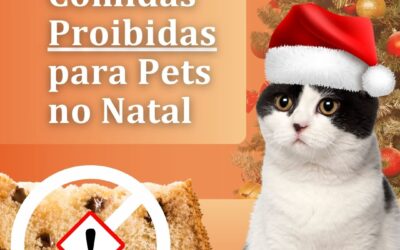 Comidas Proibidas para Pets no Natal