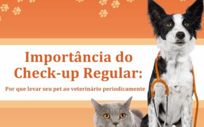Importância do Check-up Regular
