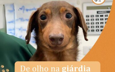 De Olho na Giárdia