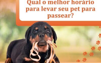 Qual o melhor horário para levar seu pet para passear?