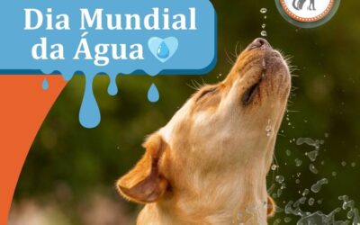 22 de Março – Dia Mundial da Água