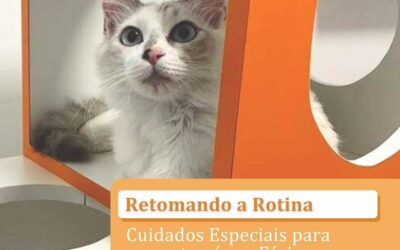 Retomando a Rotina: Cuidados Especiais para seu pet após as Férias