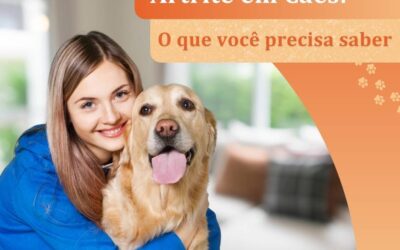 Artrite em Cães: O que você precisa saber